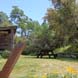 Sequoia Room patio view